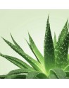 Mixgliss Gel de massage - NU Aloe Vera 250 ml - les nuances du désir