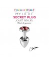 My little secret plug small - Rouge - Clara Morgane - les nuances du désir