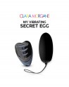 My vibrating secret egg - Noir - Clara Morgane - les nuances du désir