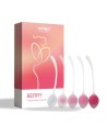 Set de 5 Boules de geisha Berry  - Rose - les nuances du désir