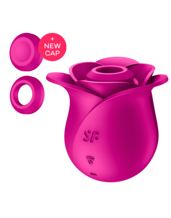 Modern Blossom Pro 2 Satisfyer - Rose - les nuances du désir